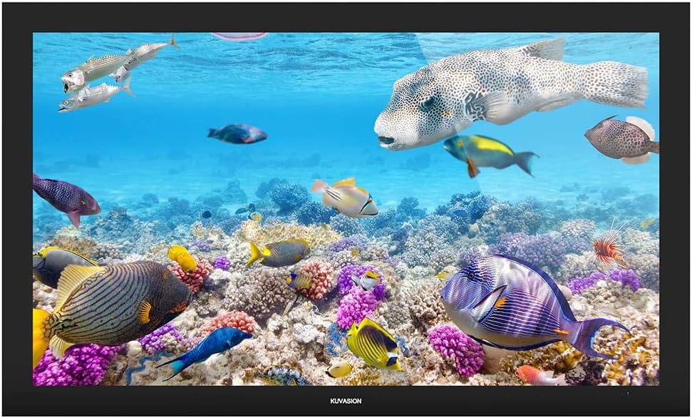 43 Inches Ultra-Slim Full Sun All-Weather Smart Outdoor TV, True 2000 Nits, 43 Inches Waterproof Sun Readable Outdoor TV