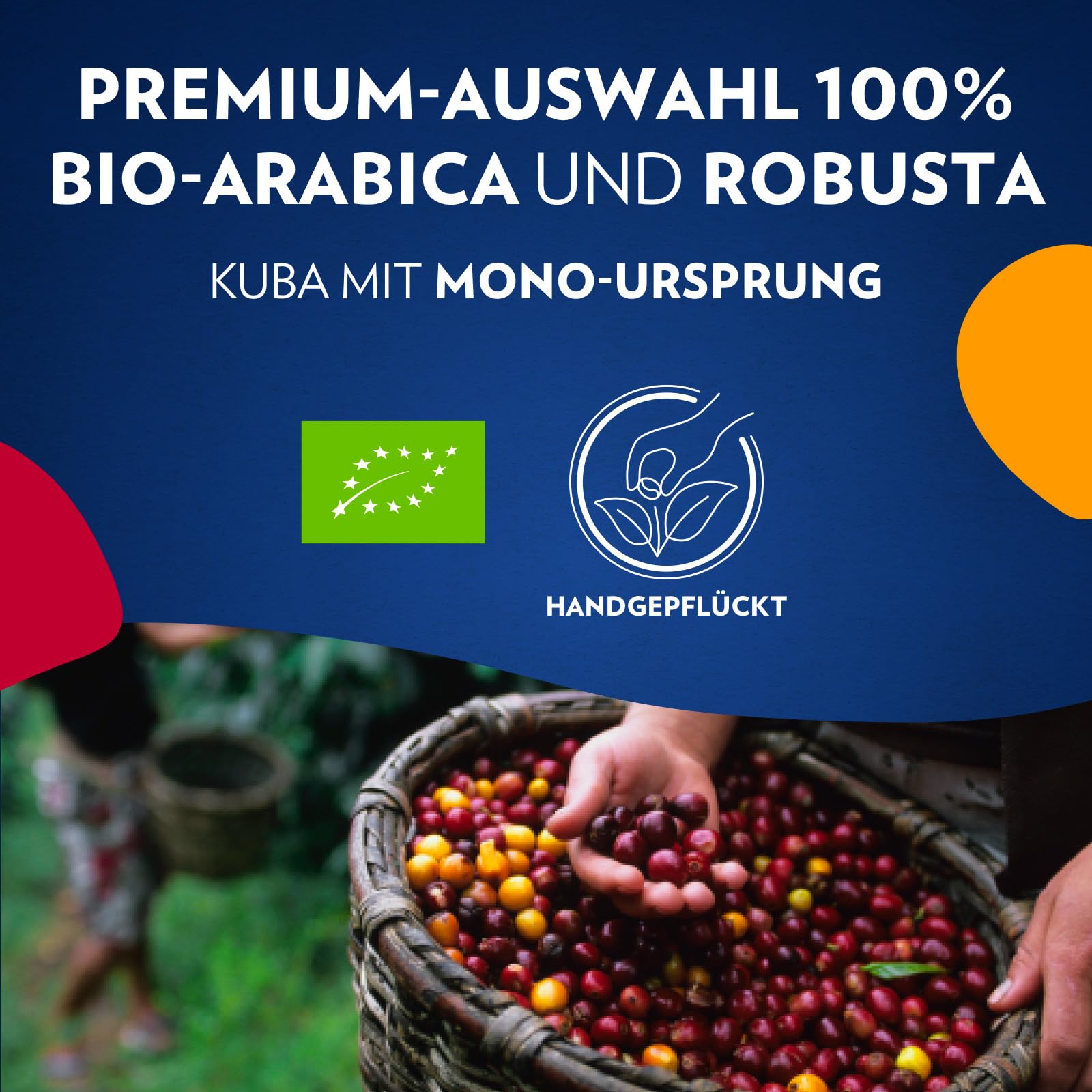 Lavazza, Tierra For Planet, 100 % Bio-Arabica Kaffeebohnen, Ideal für Espressomaschinen, Milder Geschmack, Intensität 6/10, Fruchtige & Blumige Aromen, Leichte Röstung, 1 kg Packung
