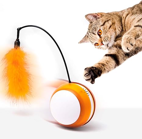 automatic cat toys amazon