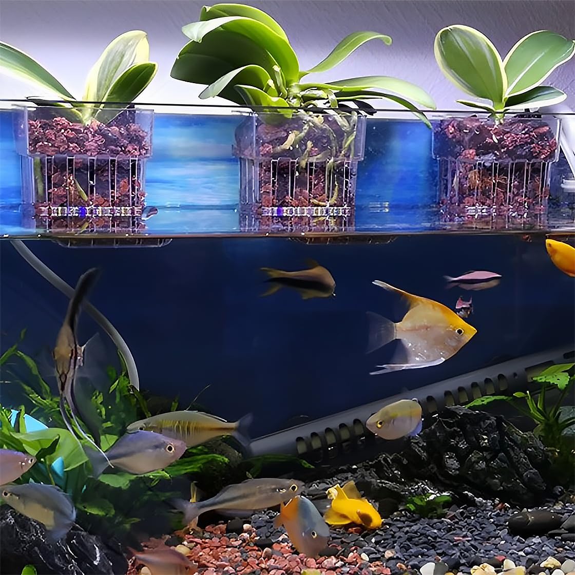 HyzaPhix 2pcs Aquarium Plant Holder Aquatic Cups Fish Tank Holder for Fish Tank Aquarium Aquascape - Image 3