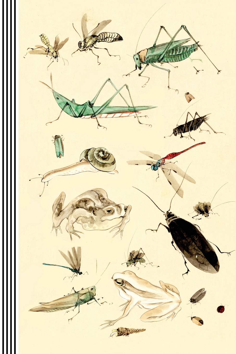Insects Illustrations Journal Entomology Biology: Bugs Asian Japanese Drawing 19th Century Vintage Art Journal Artsy Gift Composition Notebook, Lined Paper, 150 Pages, 6"x9" (15.24 x 22.86 cm)