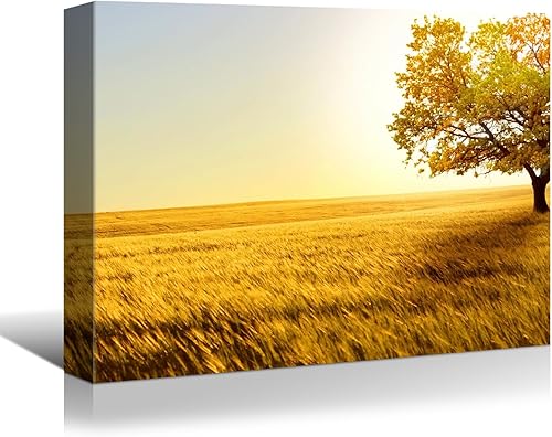 YONICA Autumn Paintings - Lienzo decorativo estético de otoño para decoración de oficina en casa, campos de trigo amarillo e imágenes de árboles,