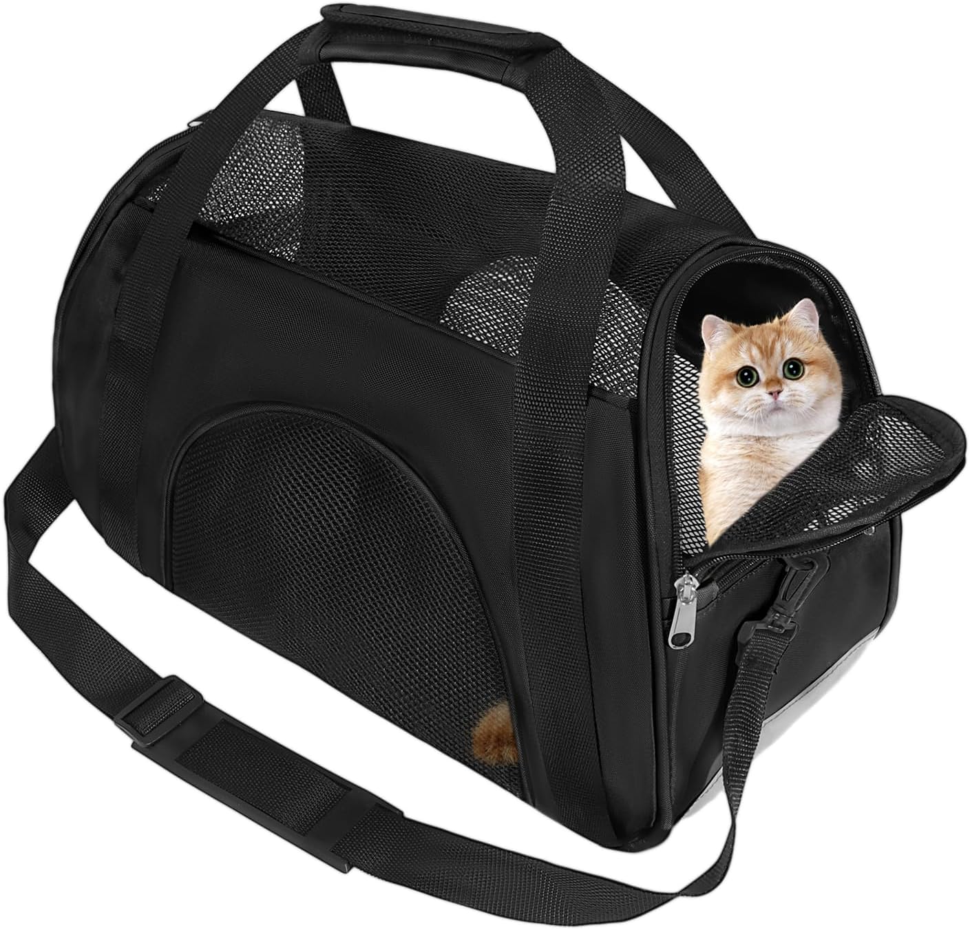 Soft Sided Comfort Cat Carrier,Portable Foldable Pet Travel Carriers ...