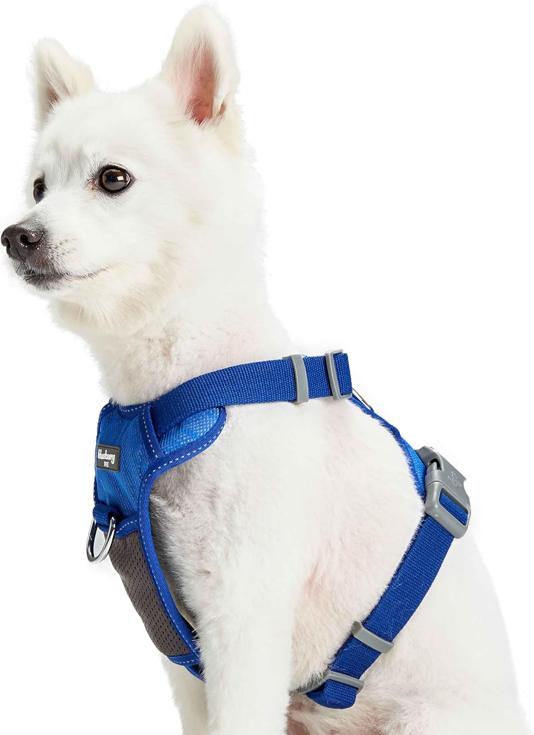 Blueberry Pet 3M Reflective Dog Vest Harness in Blue| Soft Mesh Padded No-Pull Design | Adjustable Fit for X-Large Dogs