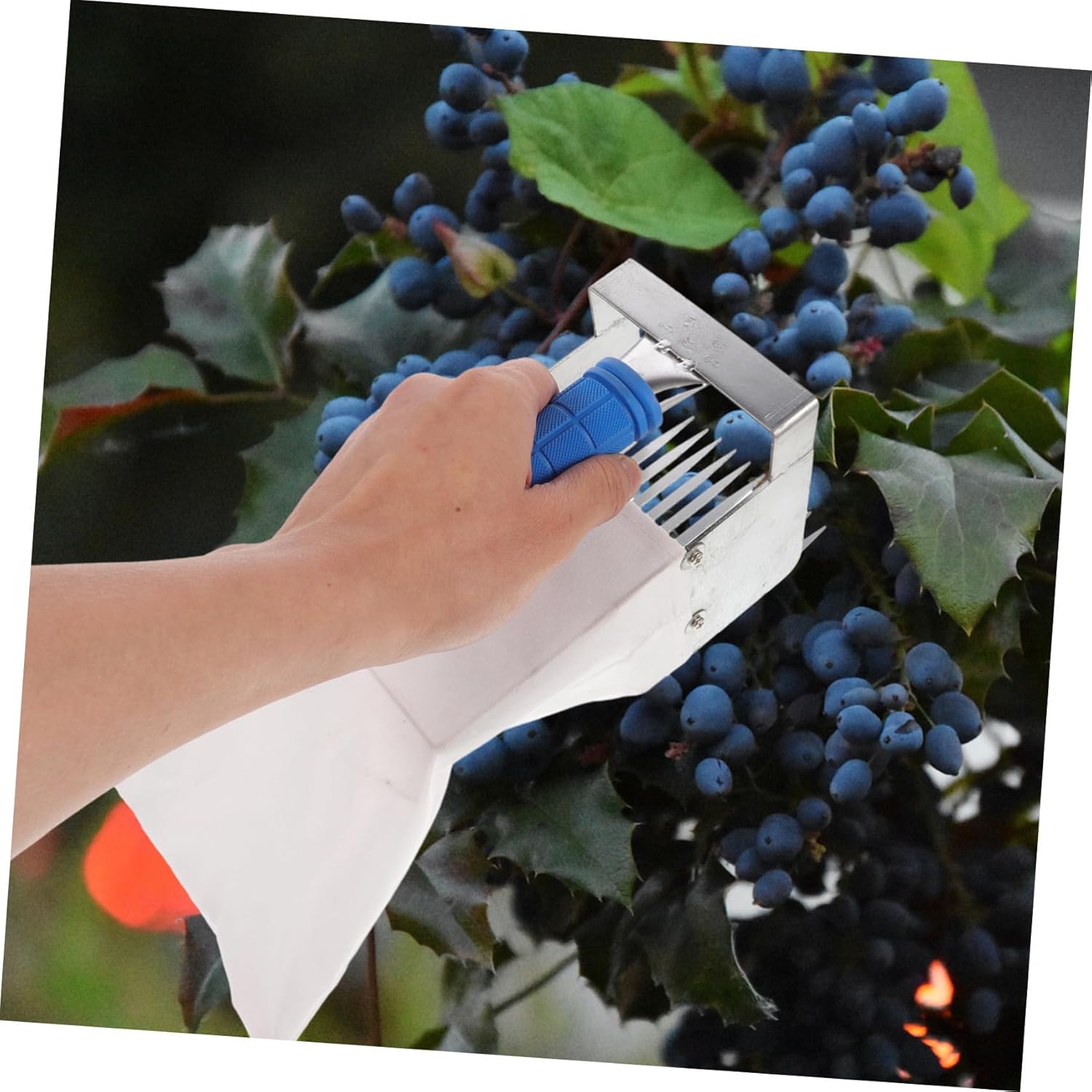 Blueberry Picker Tool with Handle Ergonomic Fruit Picking Device for Berries Sturdy Gardening Tool with Comb for Easy Harvesting Random Color