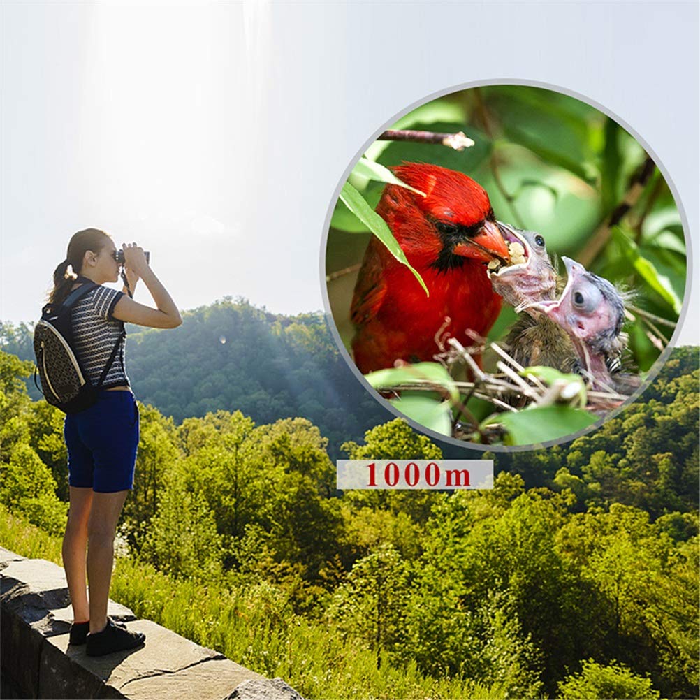 Verrekijker voor volwassenen 8X/10X42 BAK-4 dakkant FMC-lens, HD groothoek duurzame verrekijker voor vogels kijken, jagen, wandelen en reizen