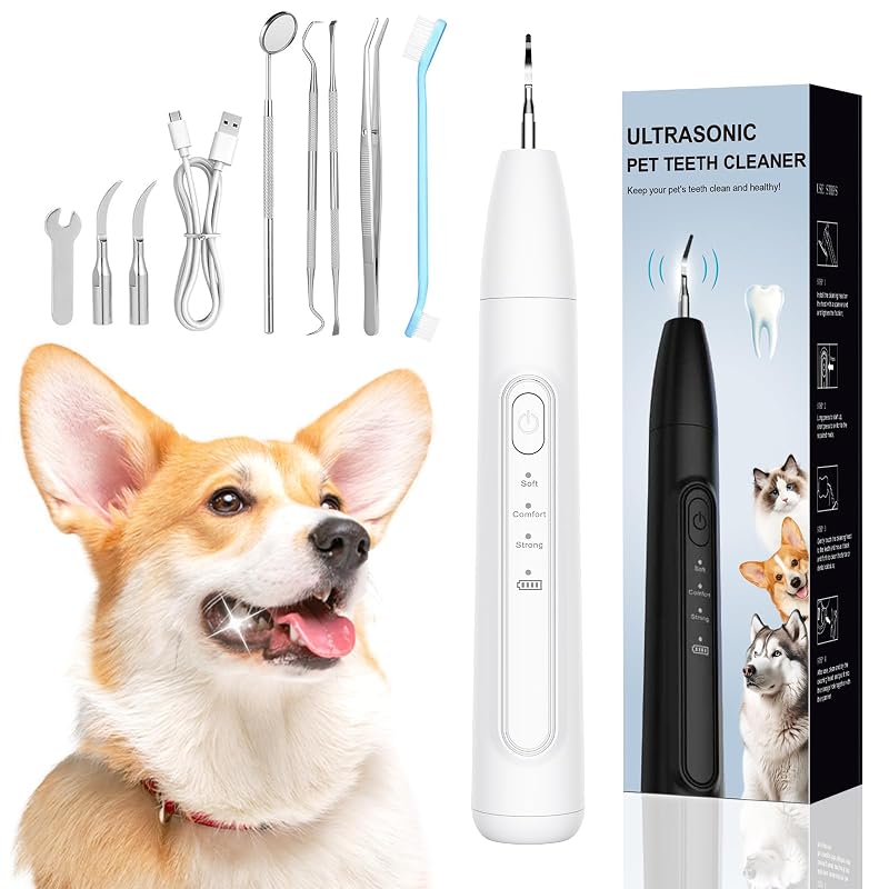 Removedor ultrassônico de tártaro para cães YunLuna com escova e 3 modos JY09, branco