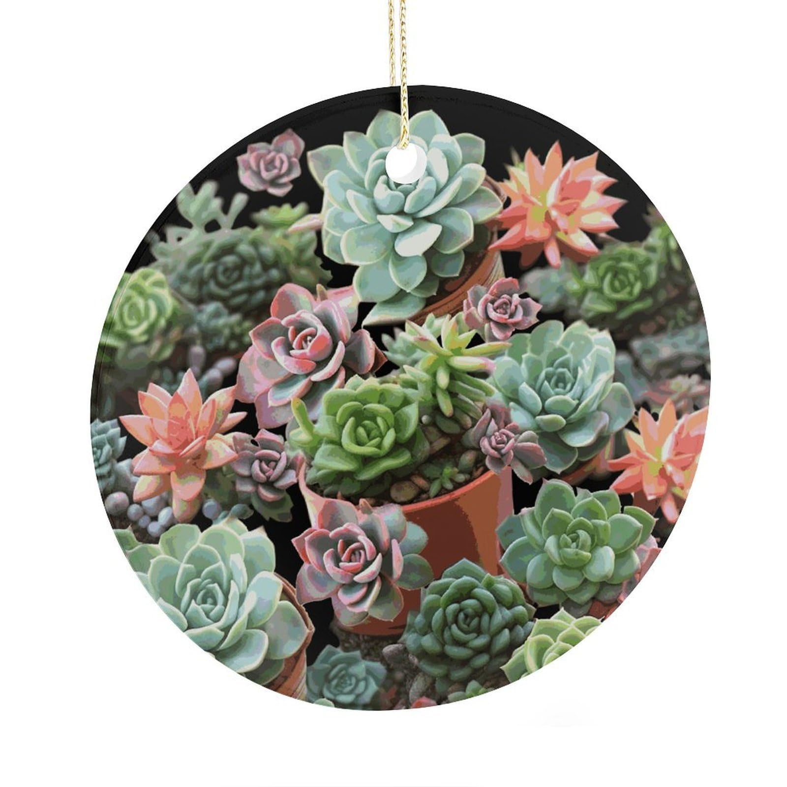 Adfgyerh Style Succulents Ceramic Circular Pendant,2.9 Inch，Hanging Ornament，Gift Exchange Idea Round Ceramic Ornament,For Mom And Daughter，For Home Indoor Outdoor Decor.