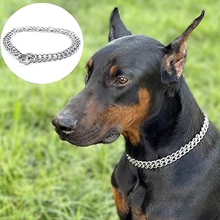 Luxury Dog Choke Collar Slip P Chain -Pet Iron Metal Double Chain Row Neck Walking Training Small Medium Large Dogs,50cm