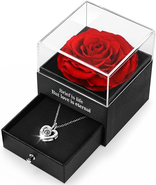 Preserved Real Rose, Gift Box with I Love You Necklace Handmade Eternal Rose Valentines Gifts for Her Mothers Day for Women Girlfriend Wife Present for Christmas,Birthday, Valentine's Day, Anniversary