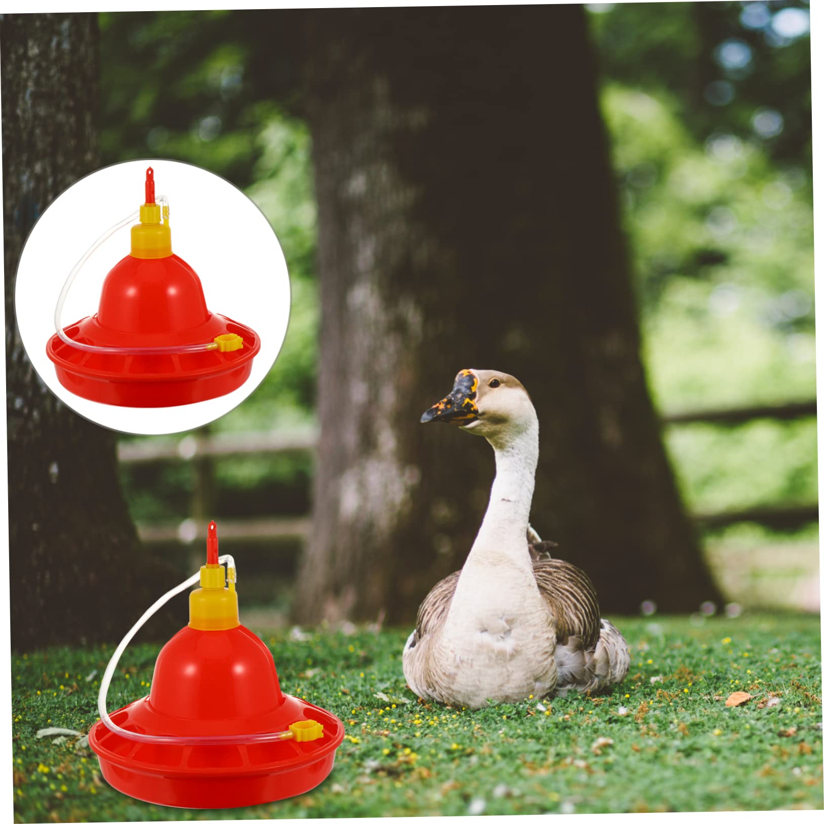VANZACK Mangiatoia Automatica per Pollame in Plastica, Flusso D’acqua Costante e Resistente al Calore, per Galline e Uso in Allevamento All’aperto