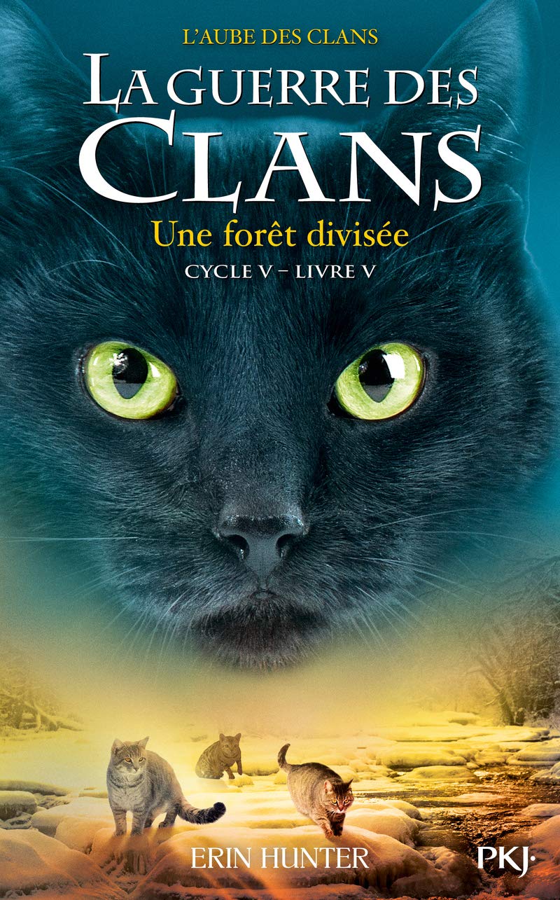 La guerre des clans - Cycle V : L'aube des clans - Tome 5 Une forêt divisée (5)
