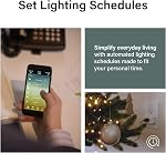Legrand Radiant® Wi-Fi Matter Smart Plug 15A, Effortless Setup, Enhanced Compatibility with Apple HomeKit, Google Home, Alexa & SmartThings, Easy Wi-Fi Connectivity with Matter, WWMP10 Pack of 1