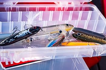 sea② Amazon.com : Heddon Super Zara Spook - Clear Minnow - 4.5