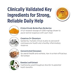 DOCTORS\' PREFERRED GlucoGold with Berberine, Concentrated Cinnamon, Chromium, Banaba Leaf Extract (90 Tablets)