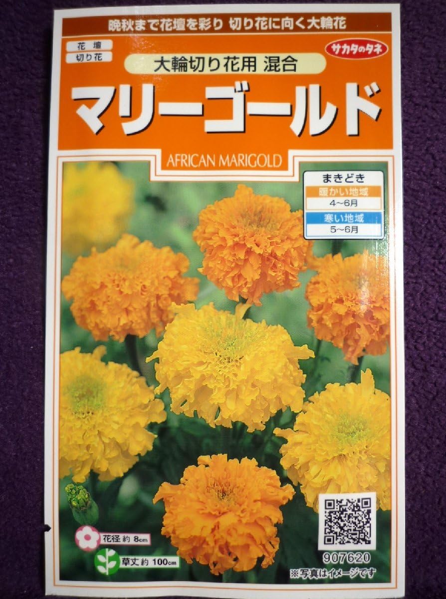 Amazon.co.jp: Seeds Marigold, For Large Cut Flowers, Mixed