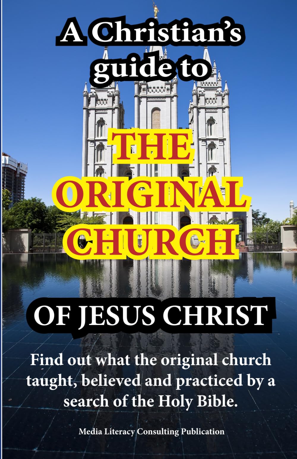 A Christian's Guide to The Original Church of Jesus Christ: Does That Church Exist Today?