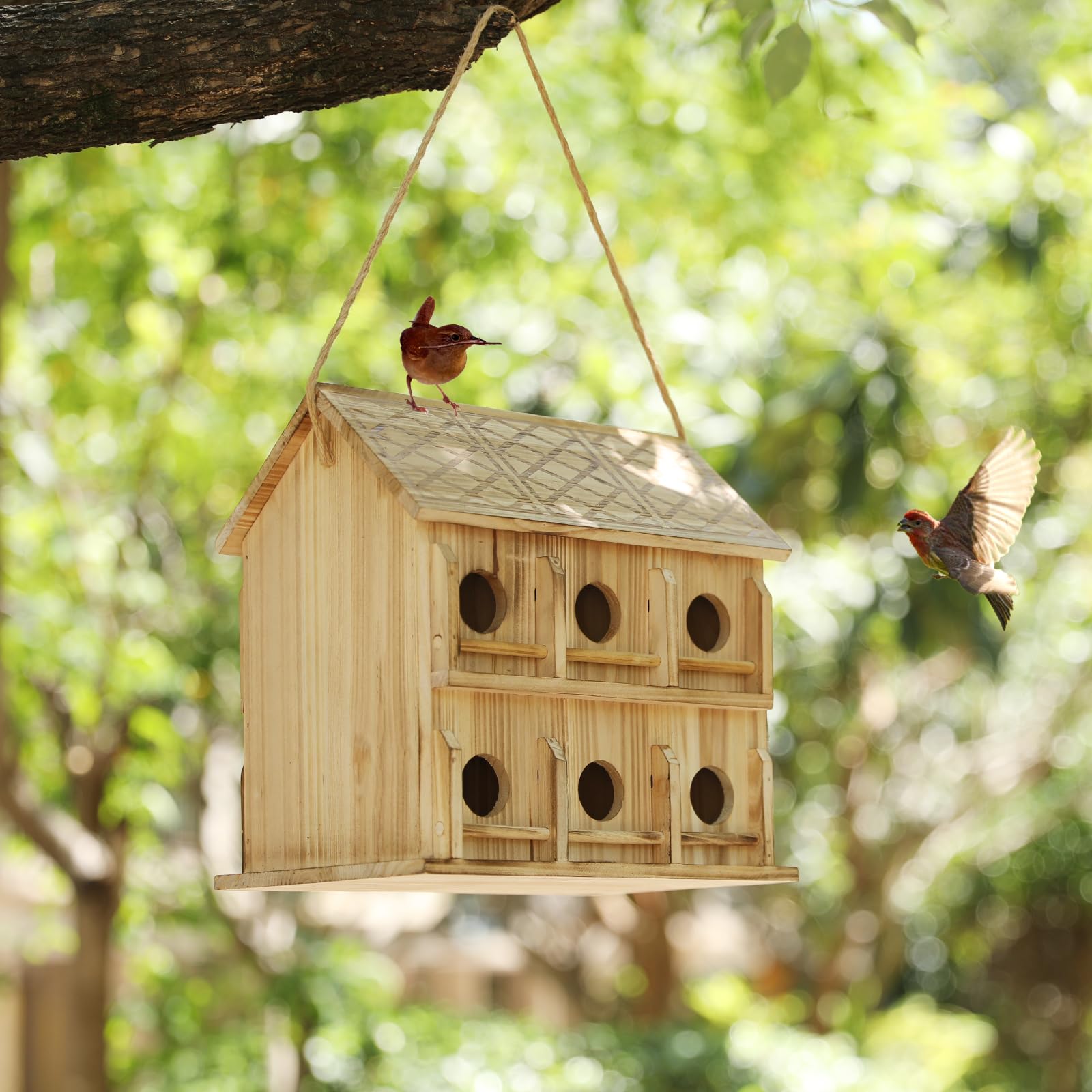 Casas para pájaros para exteriores, 6 agujeros para 6 familias de pájaros, casas de pájaros para exteriores, casa grande de colibríes (madera, juego 1)