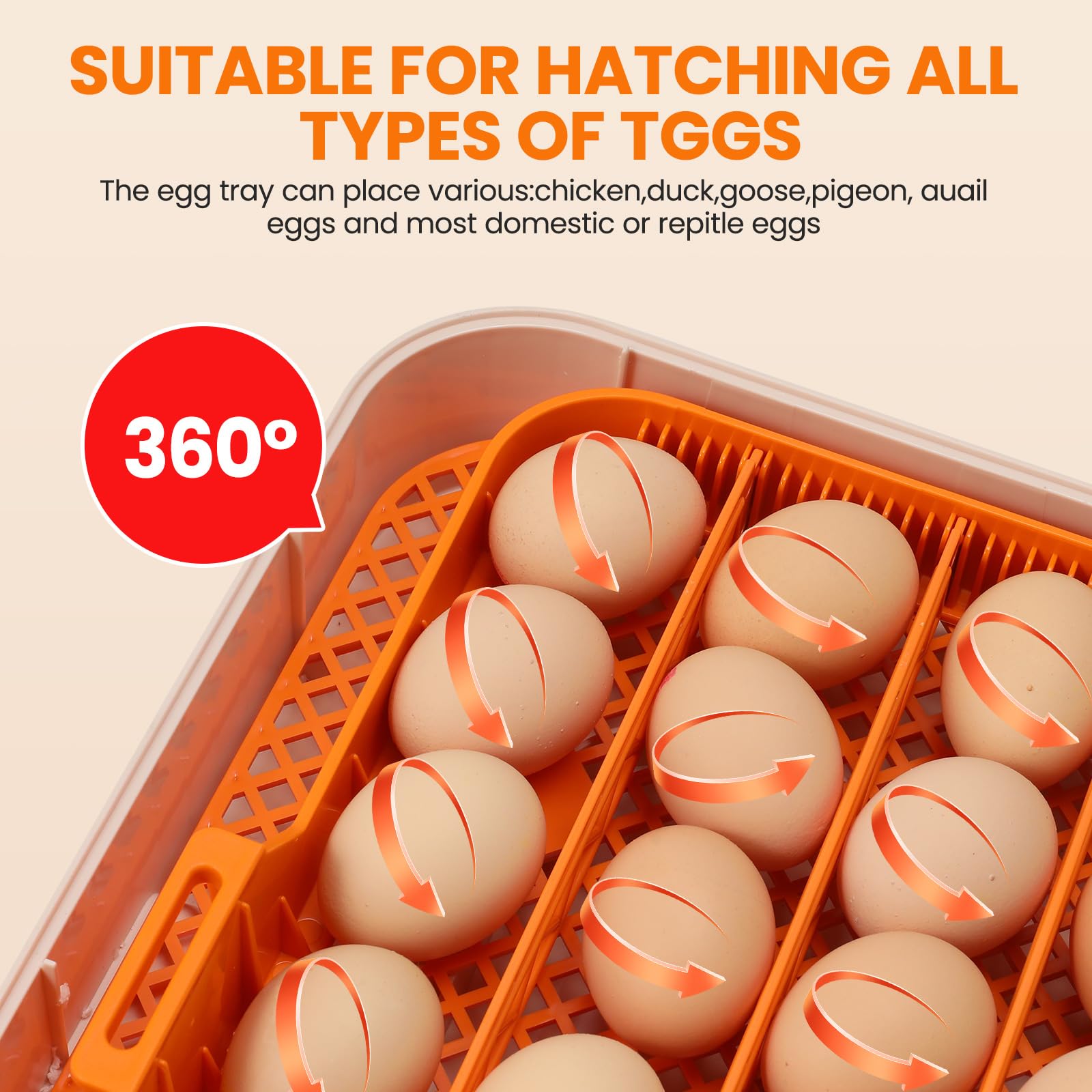 Incubadora de Huevos Automática 56 Huevos, Incubadora Huevos Gallina, Volteo y Recarga de Agua Automáticos, Pantalla + Alarma Temp/humedad, para Huevos Gallina, Pato, Codorniz