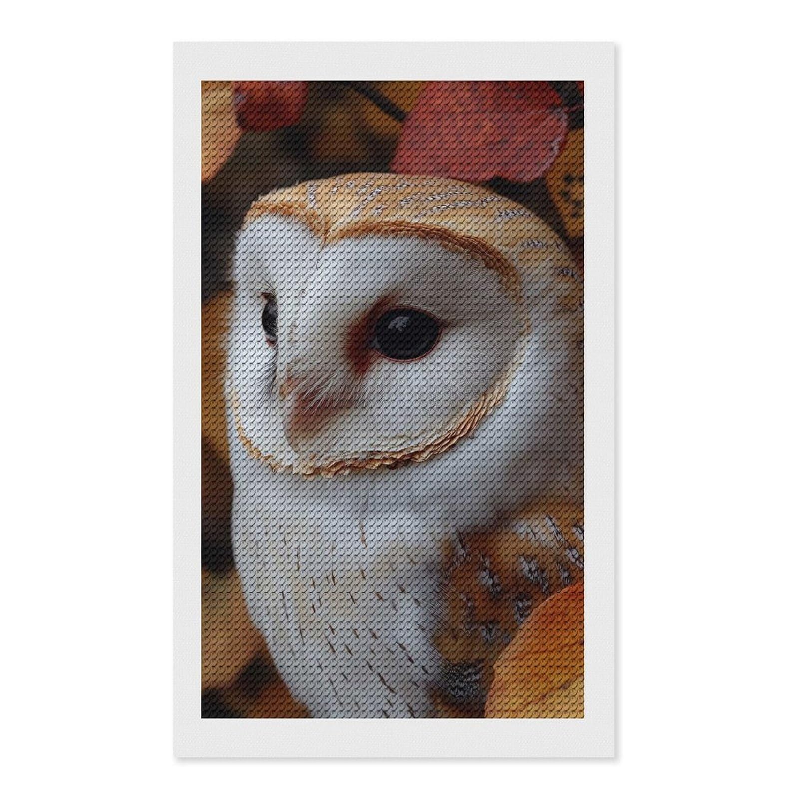 Junmoney Barn Owl Portrait in Autumn Leaves DIY Diamond Art Canvas Kit 12"x20", Decorate Your Room, Sparkling Round Gems, Fun Craft Experience, Farmhouse Decor