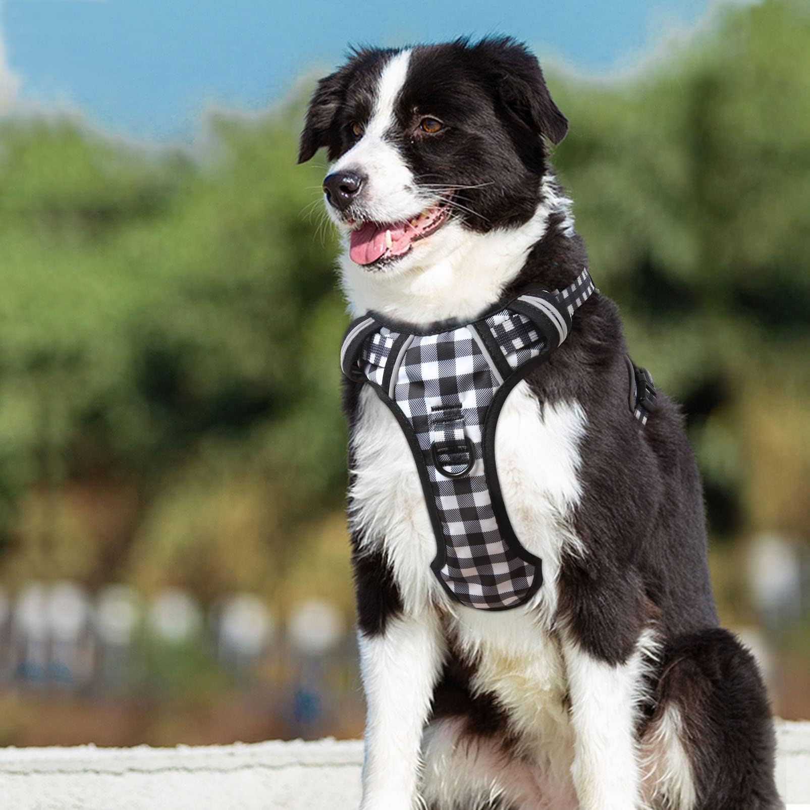HEELE Pettorina Cane, No-Pull Imbracatura Traspirante e Riflettente, con Gancio in Metallo e Manico Imbottita, Pettorina Cane Taglia Grande, Comodo per Camminare Jogging, Plaid Nero-Bianco, L