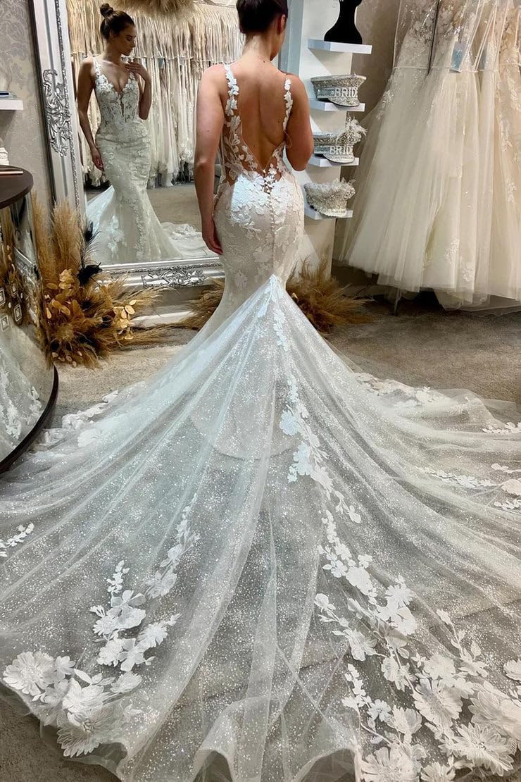 Mermaid Wedding Dresses for Bride Lace Tulle V Neck Beach Bridal Gowns with Train