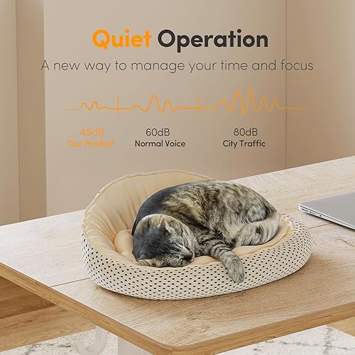 Miniatura 6 de Cubiker Escritorio de pie de 48 x 24 pulgadas mesa eléctrica ajustable en altura de pie escritorio de pie con tablero de empalme marco blanco y