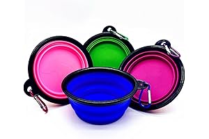 Foldable Bowls for Pets