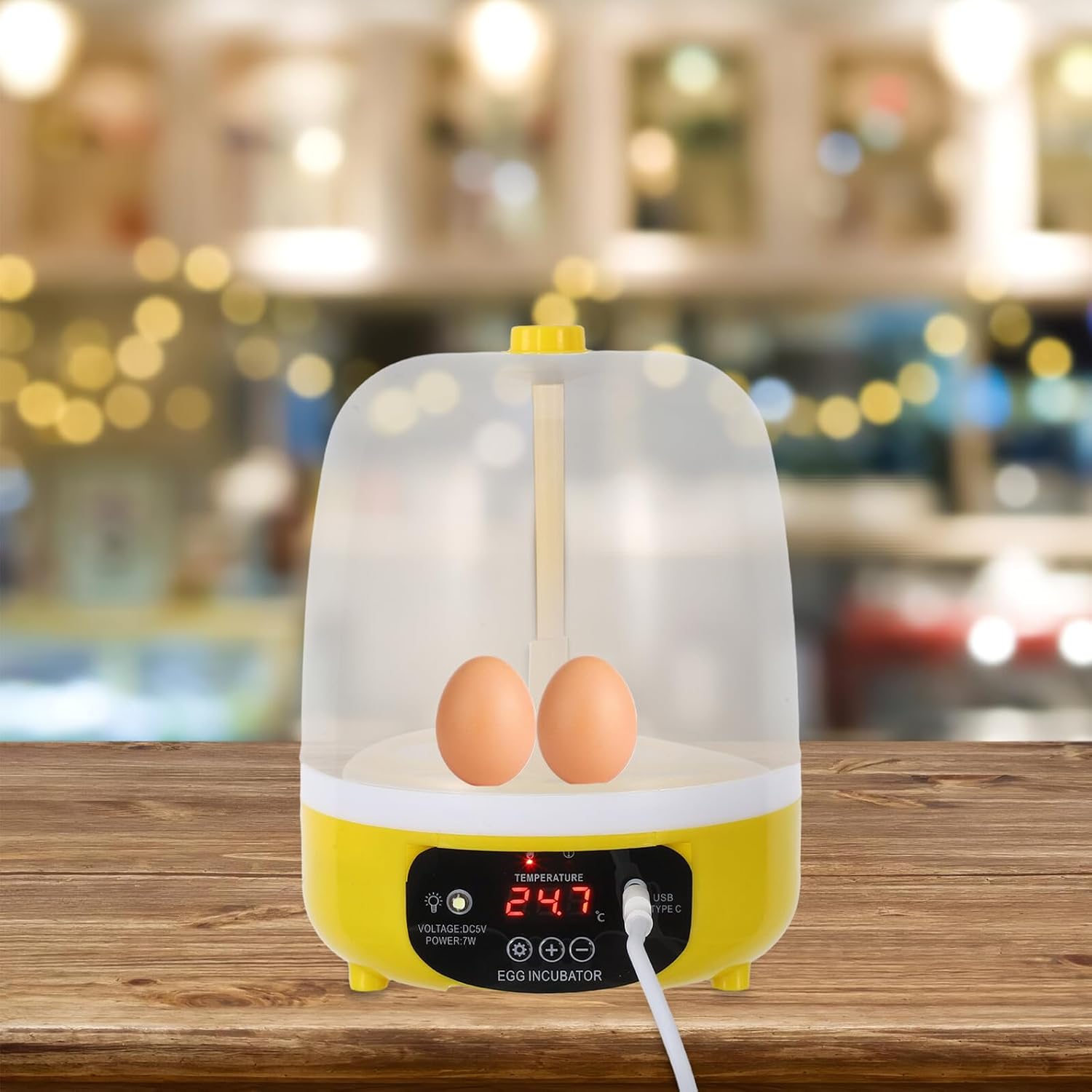Egg Incubator for Hatching Chickens and Ducks, 4-Egg Mini Poultry Incubation Case with USB Power, Precise Temperature and Humidity Control for Home Use