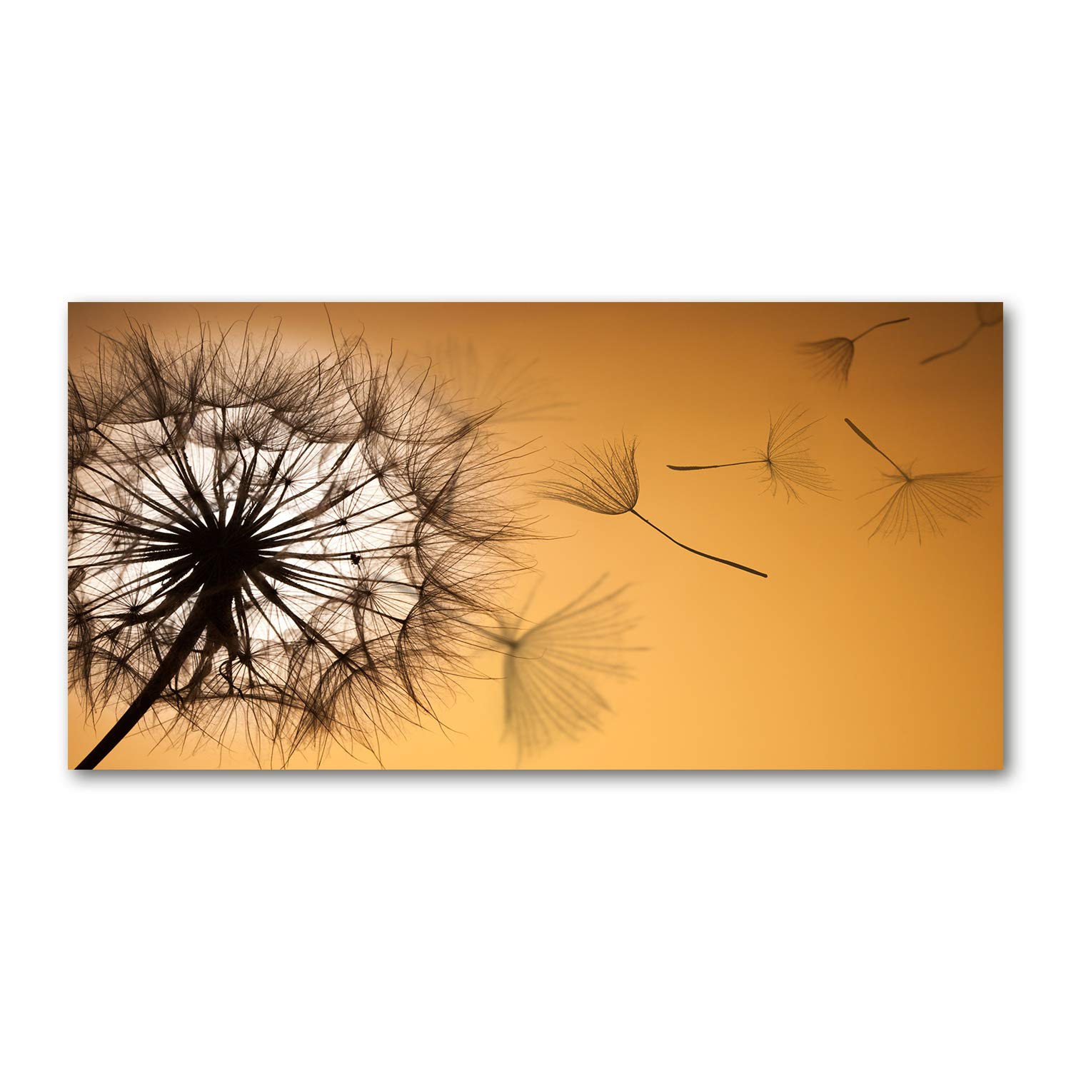 Tulup Orange Glass Picture Wall Art - 100X50cm - Tempered Glass Decoration - Print For Living Room Bedroom - Toughened Glass Image - Glass Picture Wall Art - Dandelion