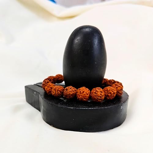 Miniatura 6 de Piedra Narmada negra de 4 pulgadas con base Jaldhari Yoni negra de 2.5 pulgadas, original negro Narmada Shivling y hermoso patrón de base Perfact