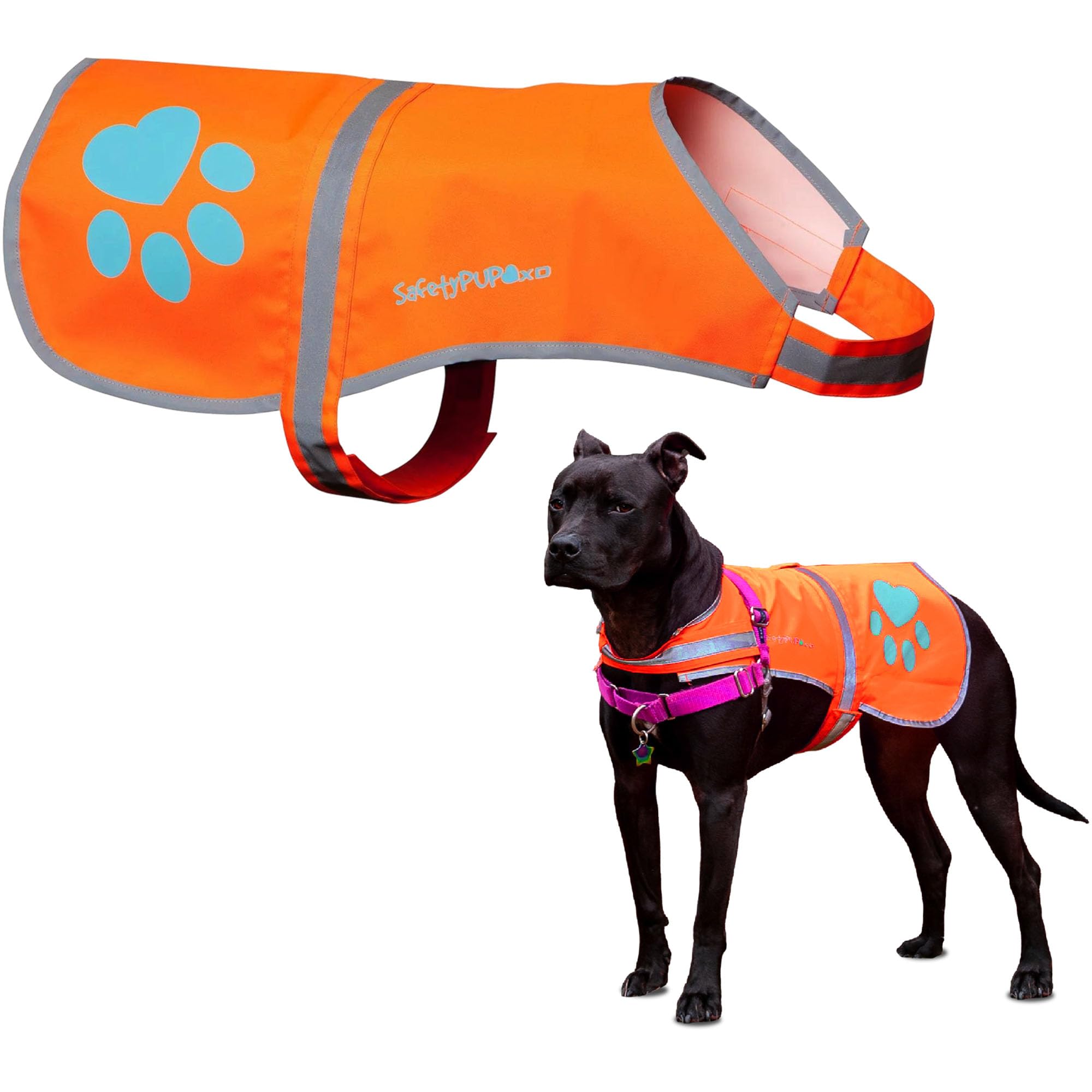 SafetyPUP XD Reflective Dog Vest. Hi-Visibility, Fluorescent Blaze Orange Dog Vest Helps Protect Your Best Friend. Safeguard Your PUP from Motorists &