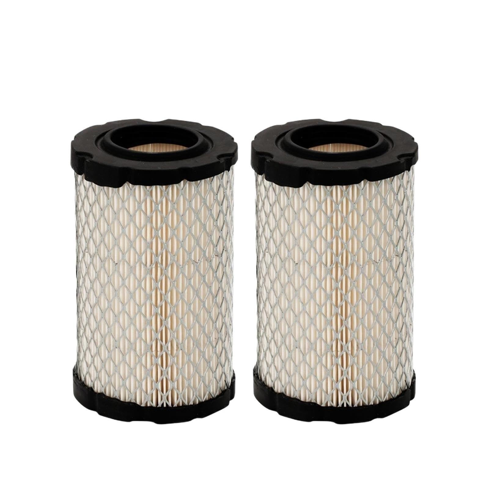 Filtro de Aire, Compatible con Briggs, 796031 594201 797404 591334