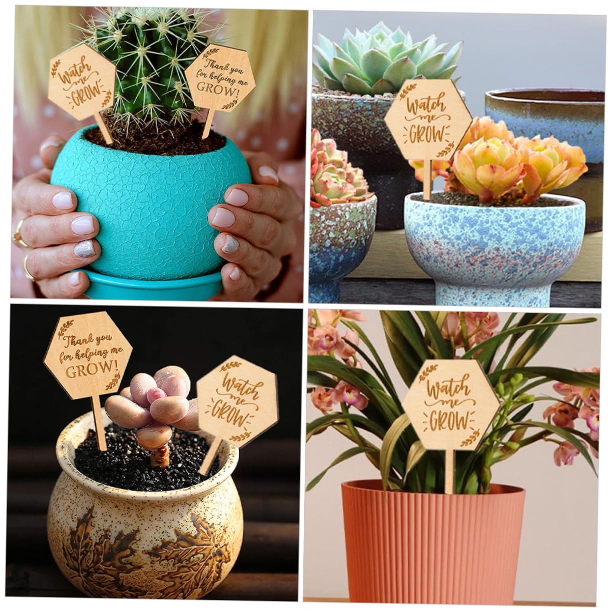 UPKOCH 3 Ensembles Étiquette En Bois Marqueur De Plantes Jardinage Marqueurs De Plantes De Jardin Petit Étiquettes De Plantes De Marqueurs De Jardin 40 Pièces * 3