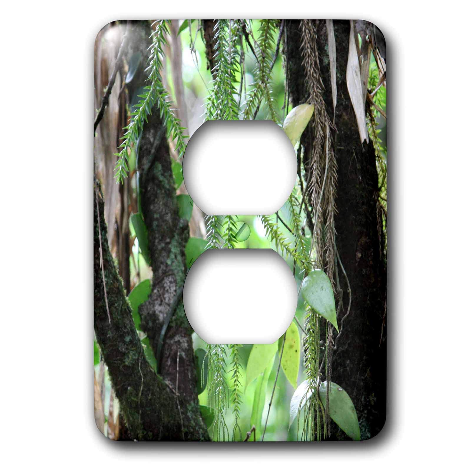 Rainforest Tropical Queensland plaque de prise 3dRose lsp_22805_6 double pour decoration interieur