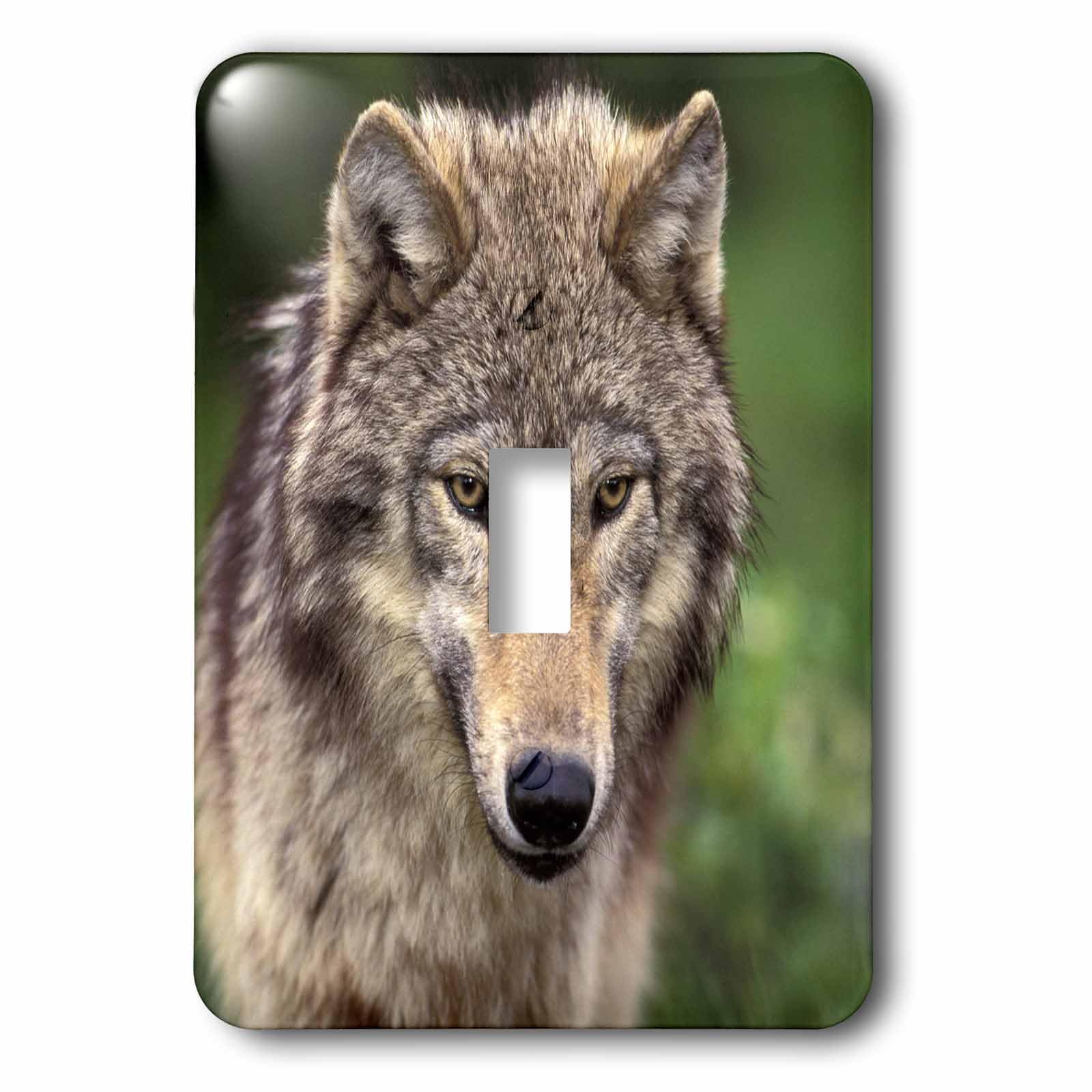 Interrupteur loup sauvage US27 TVE0006 décor nature rustique