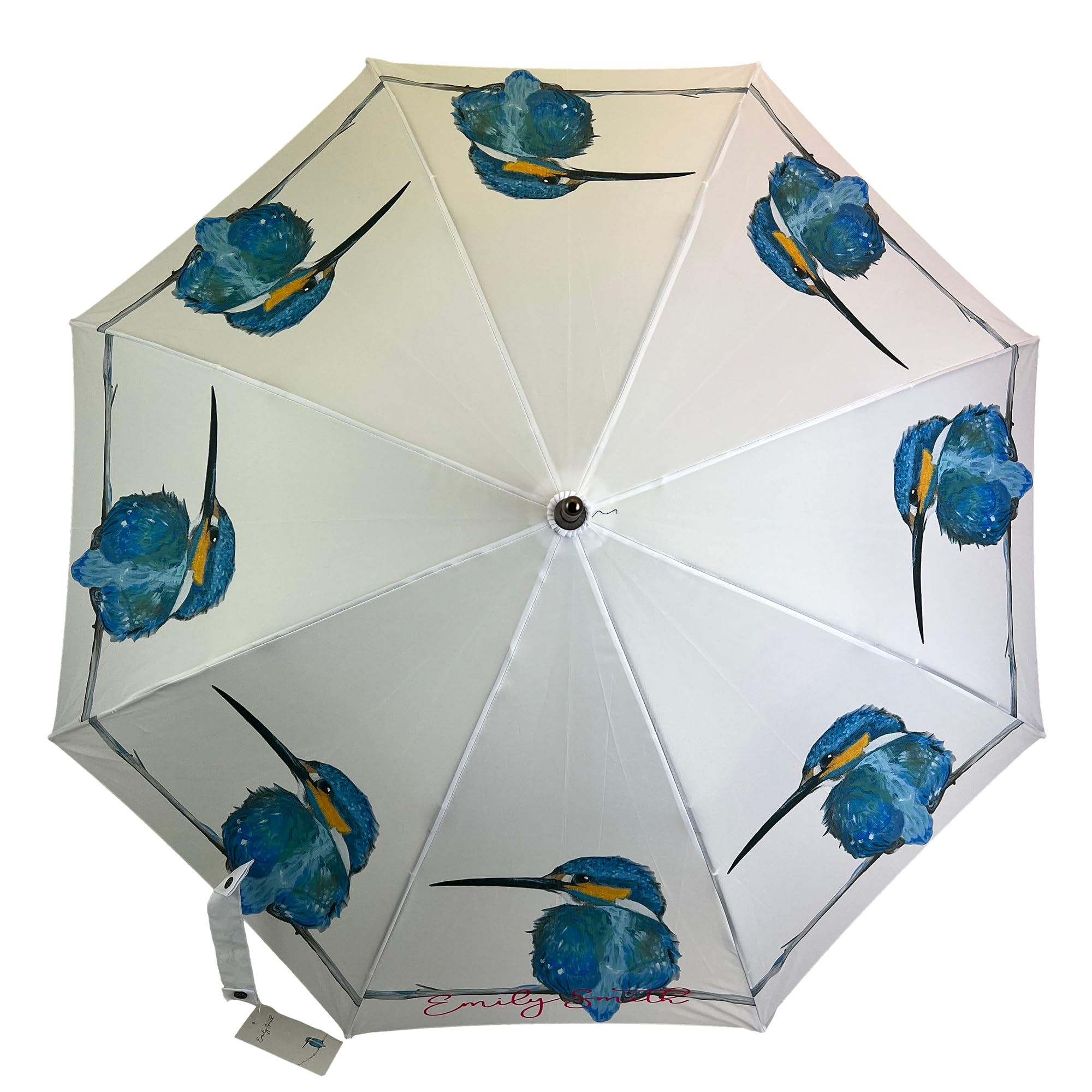 Emily Smith Umbrella - Skylar the Kingfisher