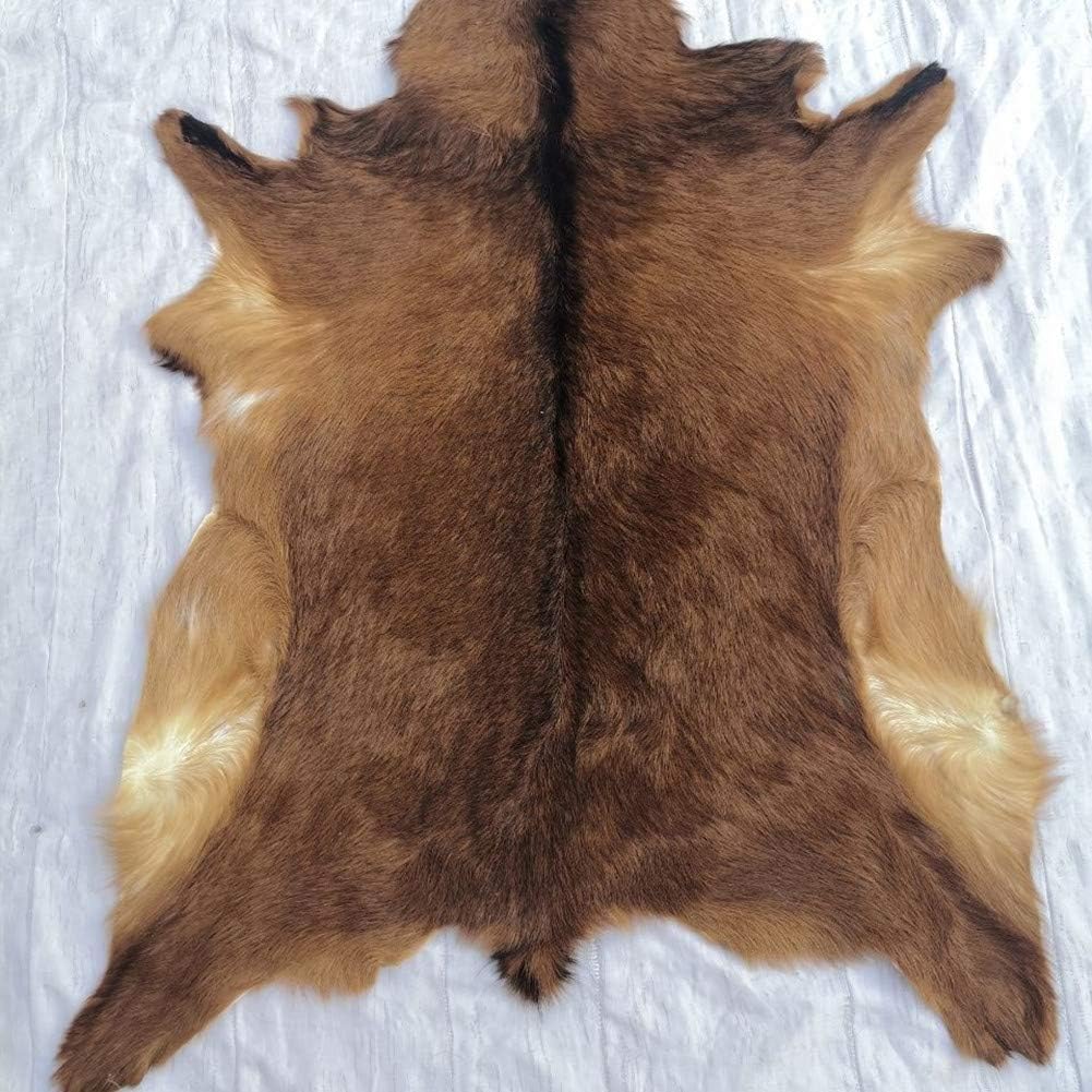 Red Deer Hide Rug Deer Skin Rug Deer Taxidermy Fireplace Deerskin Decor Reindeer Hide Area Rug Animals Mat Carpet for Home Office Bedroom Taxidermy Hunting Collectable 3.2x2.1ft