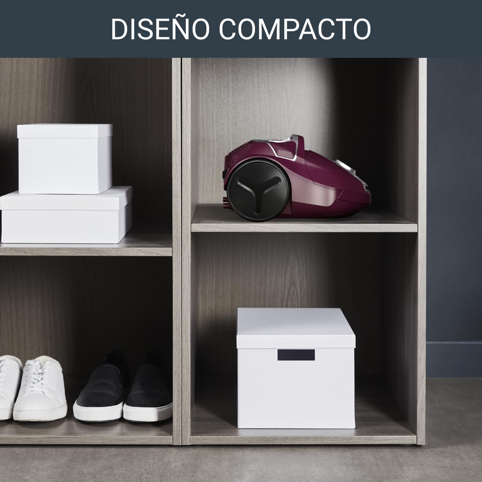 Rowenta Compact Power Morado RO3969EA - Aspirador trineo con bolsa de alta filtración y filtro permanente gran eficiencia, depósito de 3 L (Reacondicionado Certificado)