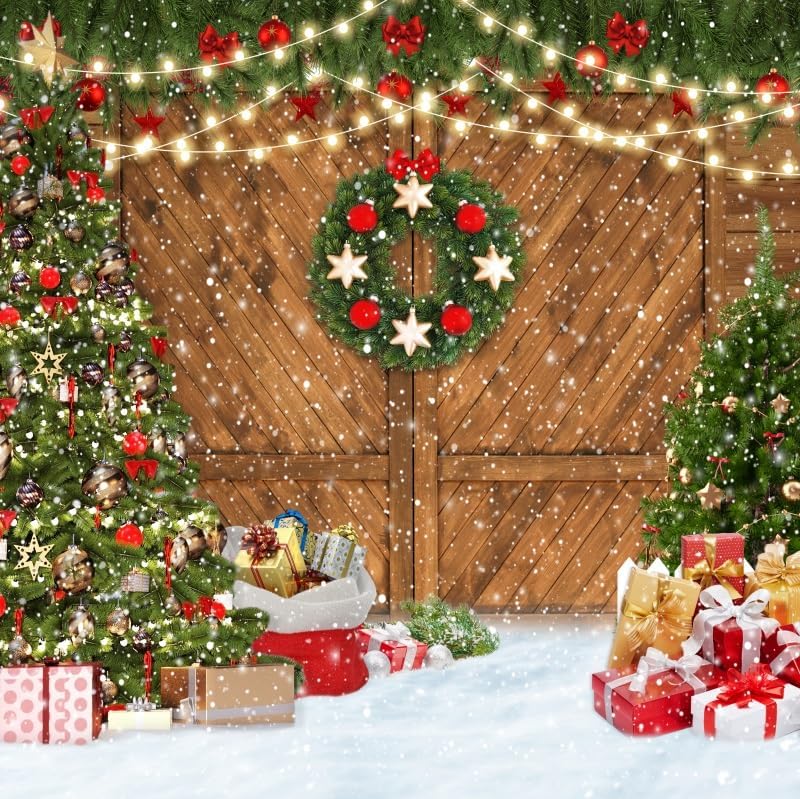 Amazon.com : DASHAN 10x10ft Christmas Barn Door Backdrop for ...