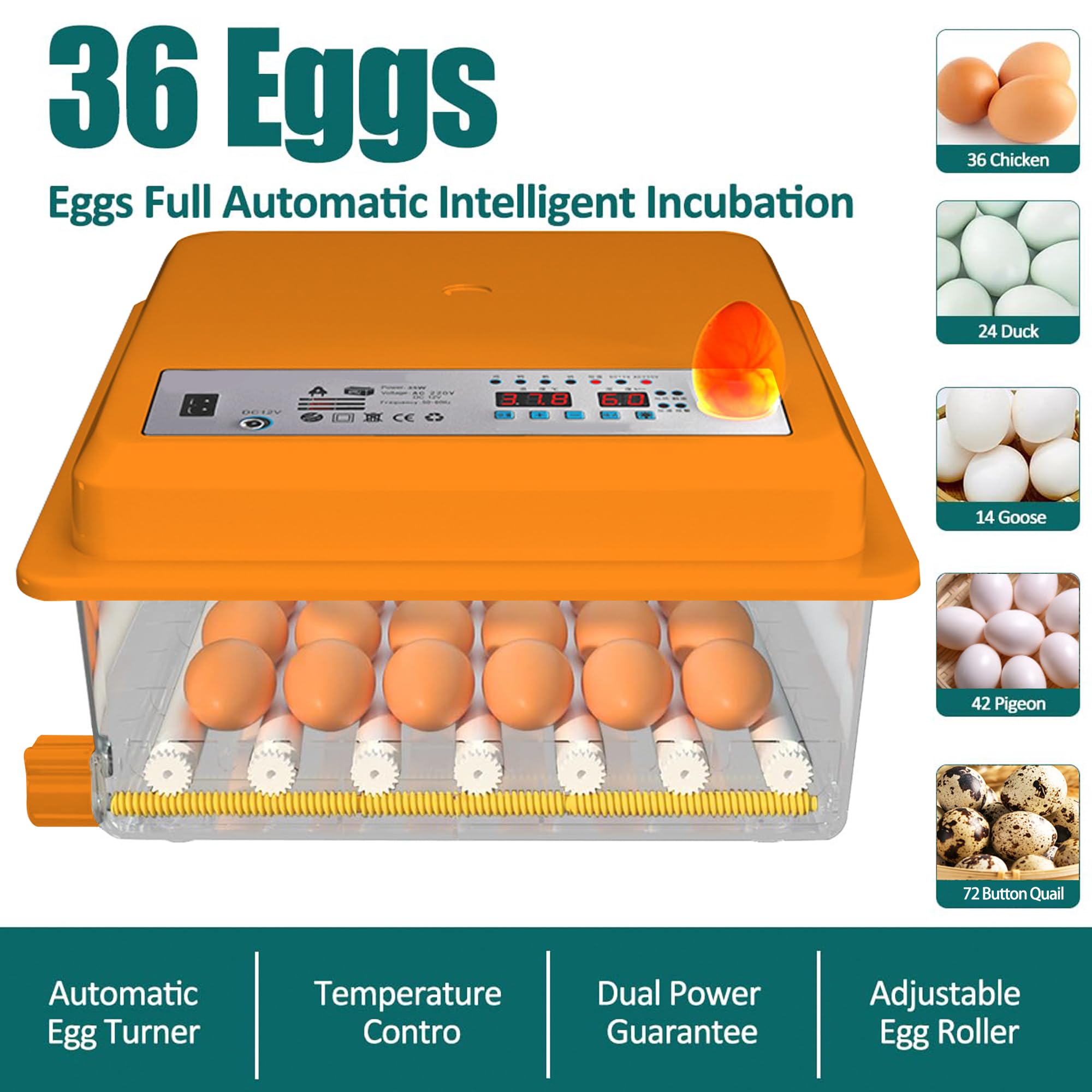 Incubadora de Huevos Automática 24-36 Huevos, Couveuse con Control de Temperatura, Rodillos Ajustables, Llenado de Agua Automático y Ovoscopio Integrado, Naranja