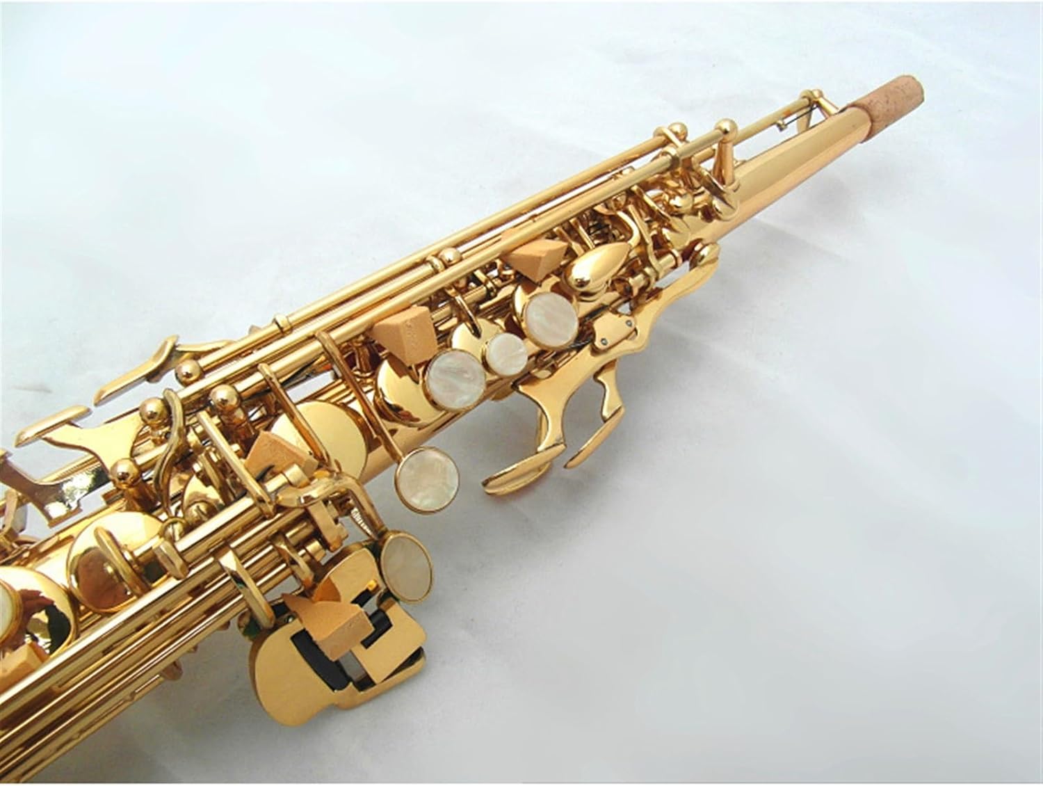 ステマリア コウモリラン ビカクシダ ☆コルク付 BI0171 ビカクシダ