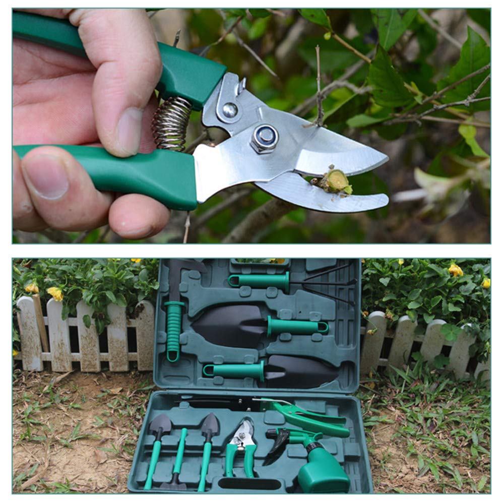 Set di attrezzi da giardino da 10 pezzi in acciaio inox con valigetta organizer, set da giardinaggio ad alte prestazioni con cesoie da giardino, rastrello, pala grande e piccola, spruzzatore, forbici
