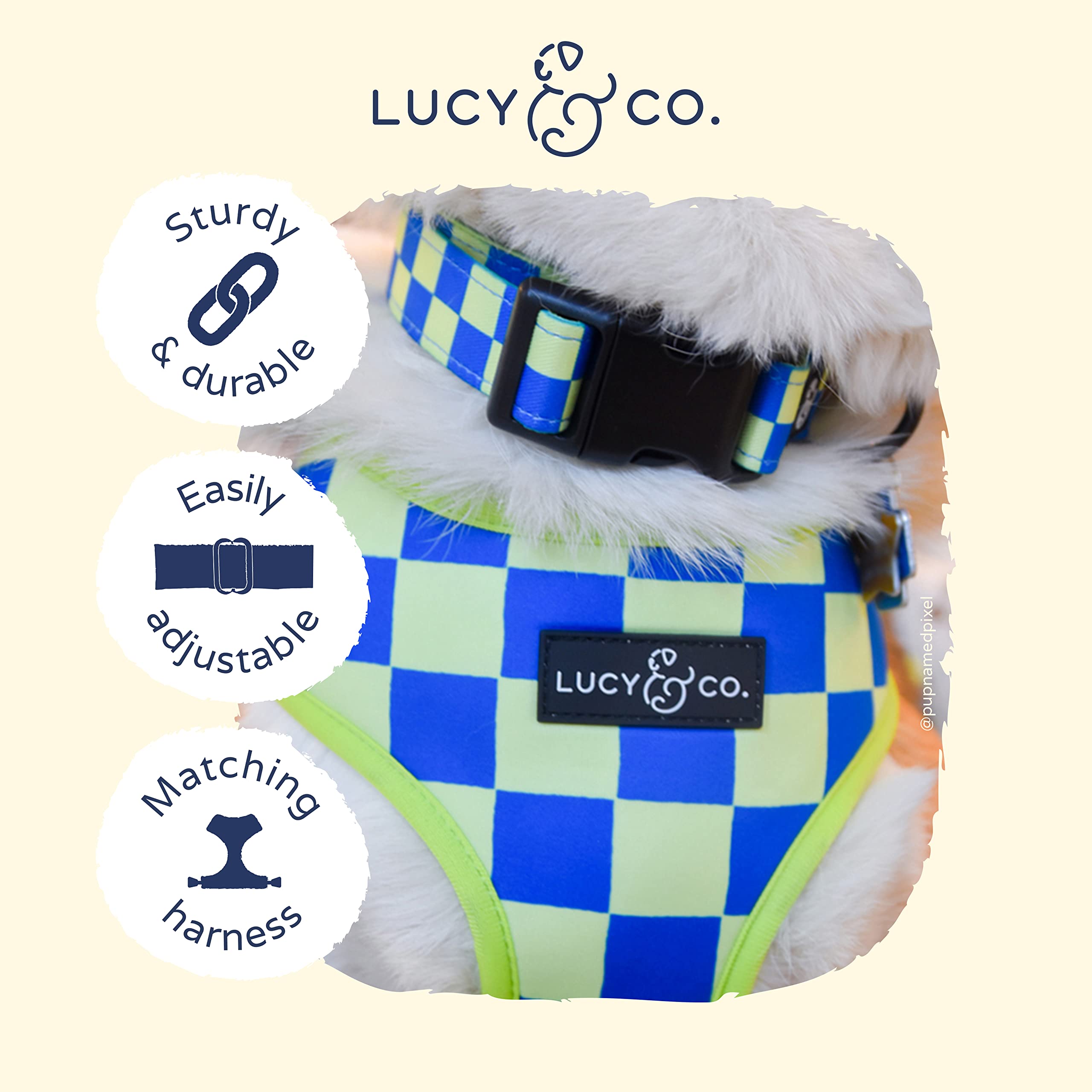Lucy & Co. Einhorn-Hundehalsband - Verstellbar, Robust & Süß In Lila-rosa