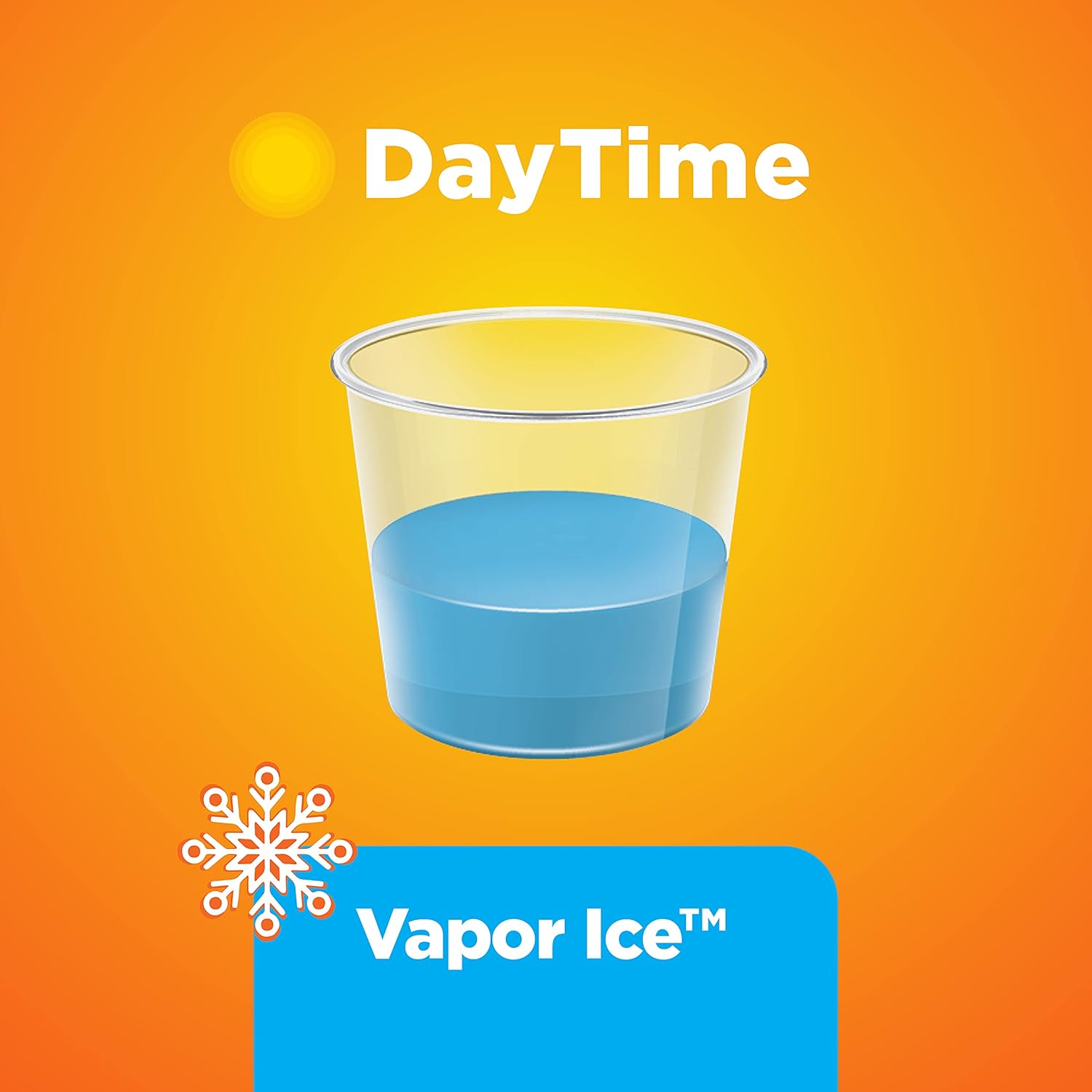  Basic Care Vapor Ice Daytime Severe Cold & Flu,12 Fluid Ounces : Health & Household