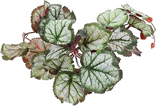 COLLBATH Paisagismo Deixa Decorações De Selva Plástico Terrário Recipiente De Vidro Leopard Gecko Tanque Acessórios Realista Habitats De Répteis Planta Réptil Videiras Plantas Planta De