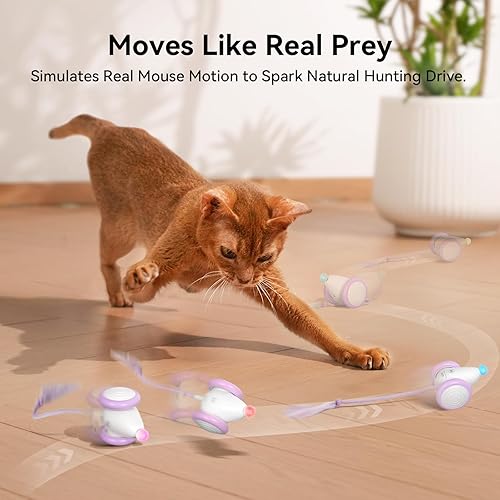 Miniatura 3 de Juguetes interactivos para gatos de interior  Juguetes de gatito en movimiento automático, juguete para gatos malvados con cola y luces, suministros