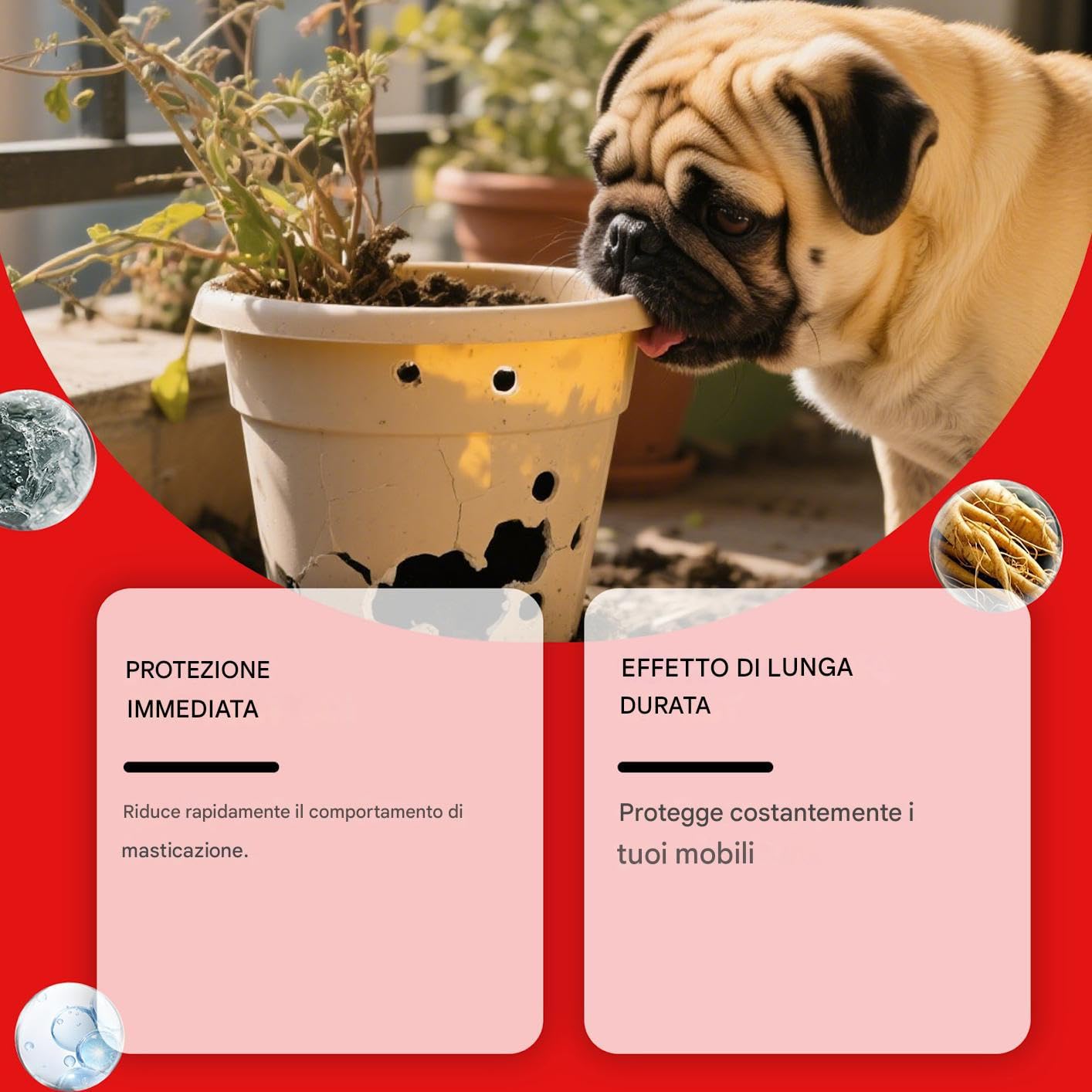 Generico Spray Anti Morso per Cani 100ml - Agente Amaro per Correzione Comportamentale