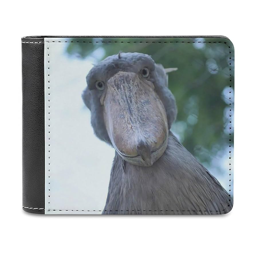 【Rusty】ハシビロコウ＆ミニビロコウ るもちゃん🌈とヒロ (@moruhiro): 