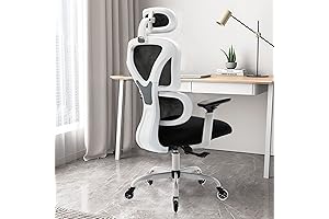 Kerdom Office Chair - Ergonomic Executive Computer Chair with Bonus Headrest &...